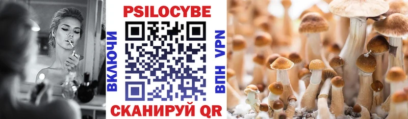 Псилоцибиновые грибы мицелий  ОМГ ОМГ сайт  Сим  сколько стоит 